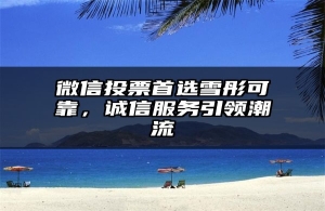 微信投票首选雪彤可靠，诚信服务引领潮流