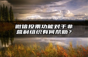 微信投票功能对于非营利组织有何帮助？