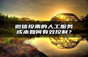 微信投票的人工服务成本如何有效控制？