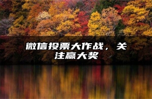 微信投票大作战，关注赢大奖