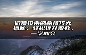 微信投票刷票技巧大揭秘：轻松提升票数，一学即会