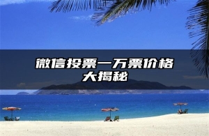 微信投票一万票价格大揭秘
