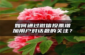 如何通过微信投票增加用户对话题的关注？