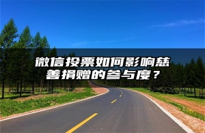 微信投票如何影响慈善捐赠的参与度？