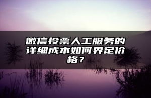 微信投票人工服务的详细成本如何界定价格？
