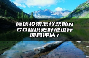 微信投票怎样帮助NGO组织更好地进行项目评估？