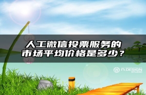 人工微信投票服务的市场平均价格是多少？