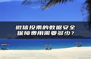 微信投票的数据安全保障费用需要多少？