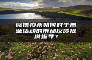 微信投票如何对于商业活动的市场反馈提供指导？
