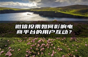 微信投票如何影响电商平台的用户互动？