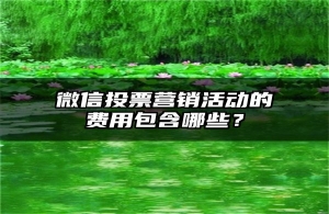 微信投票营销活动的费用包含哪些？