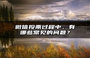 微信投票过程中，有哪些常见的问题？