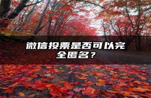 微信投票是否可以完全匿名？