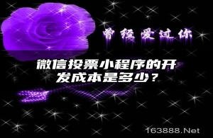 微信投票小程序的开发成本是多少？