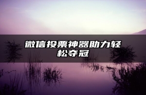 微信投票神器助力轻松夺冠