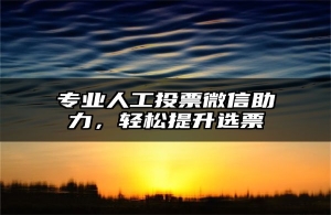 专业人工投票微信助力，轻松提升选票