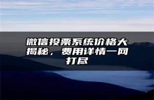 微信投票系统价格大揭秘，费用详情一网打尽
