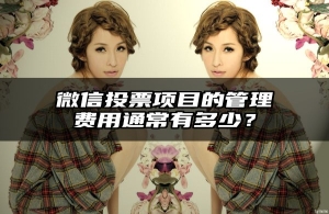 微信投票项目的管理费用通常有多少？
